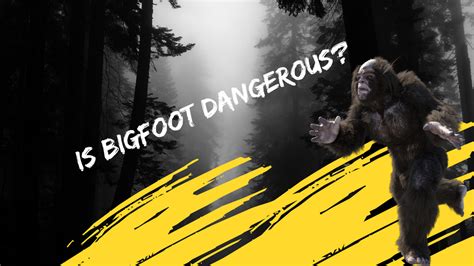 Is the Curse of the Sasquatch Real? The Science Behind the Legend